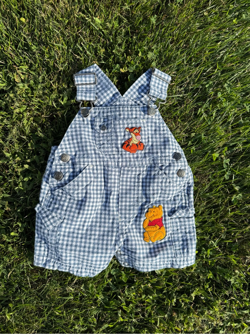 Vintage/ Y2K Blue Gingham Kids Overalls with Winnie the Pooh & Tigger Patches